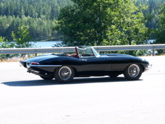 PICT0061.JPG
