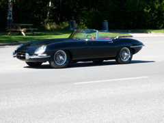 PICT0065.JPG