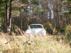 PICT0006.JPG